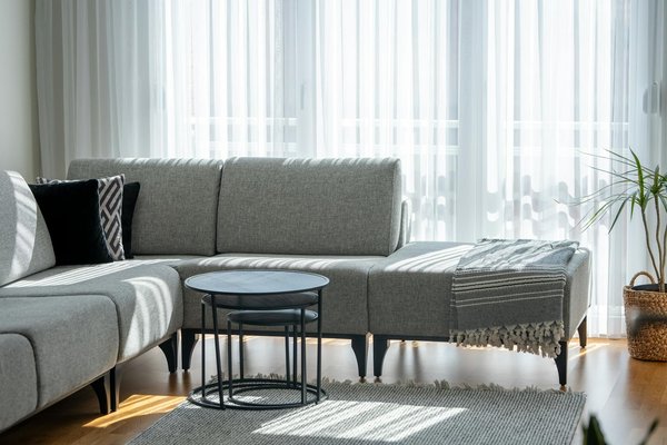 Comment choisir la meilleure shampouineuse en 2025