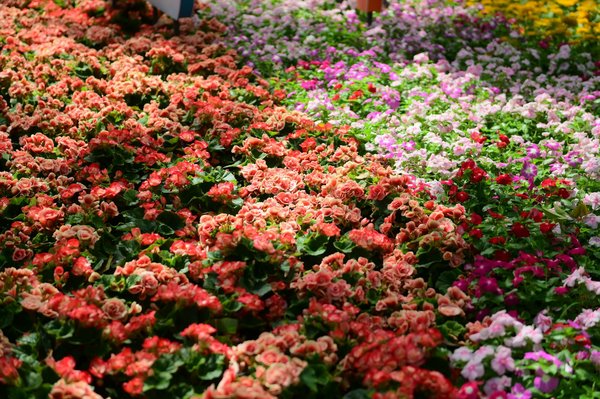 Quiz interactif: Êtes-vous prêt pour l'emballage de votre déménagement?