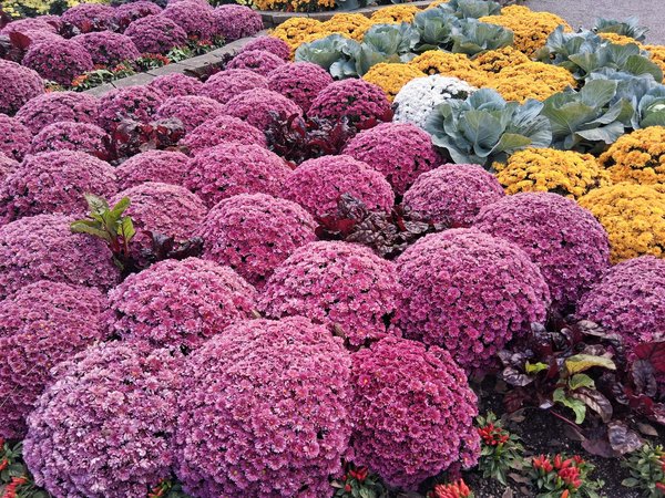 Tutoriel pour de petits travaux de plomberie