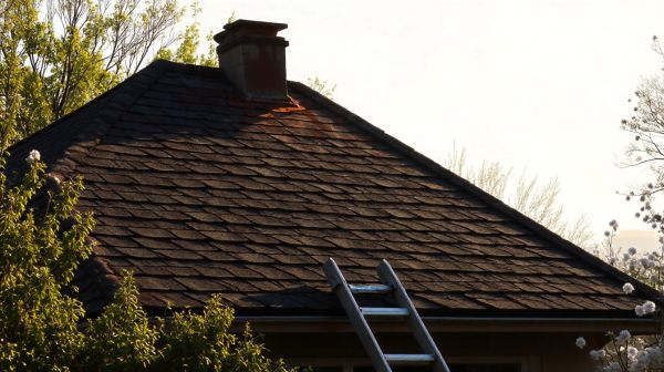 Top services offertes par une entreprise de toiture et rénovation